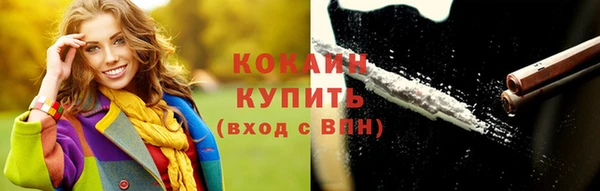 мет Инсар