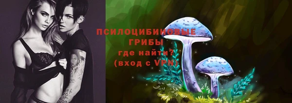 СК Покровск