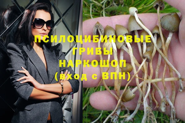 марки nbome Покачи