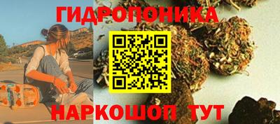 индика Будённовск