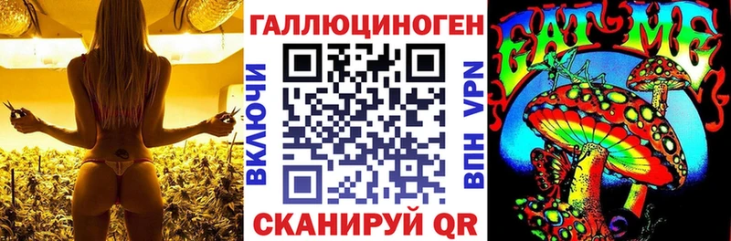 дарнет шоп  Белово  Галлюциногенные грибы Psilocybine cubensis 