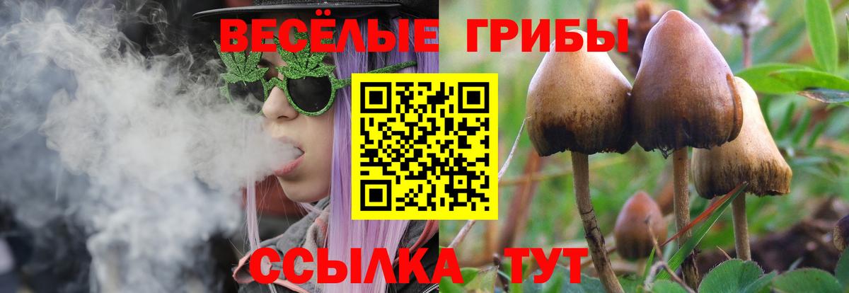 где продают наркотики  Белово  Псилоцибиновые грибы мицелий 