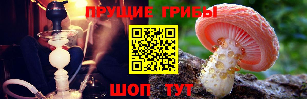 Псилоцибиновые грибы мицелий Белово